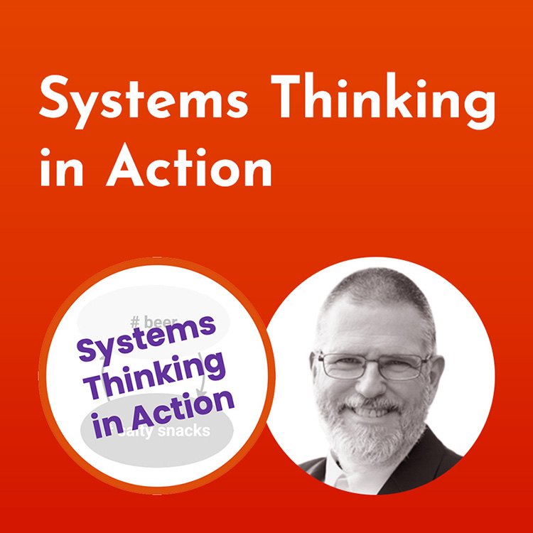 Systems Thinking in Action